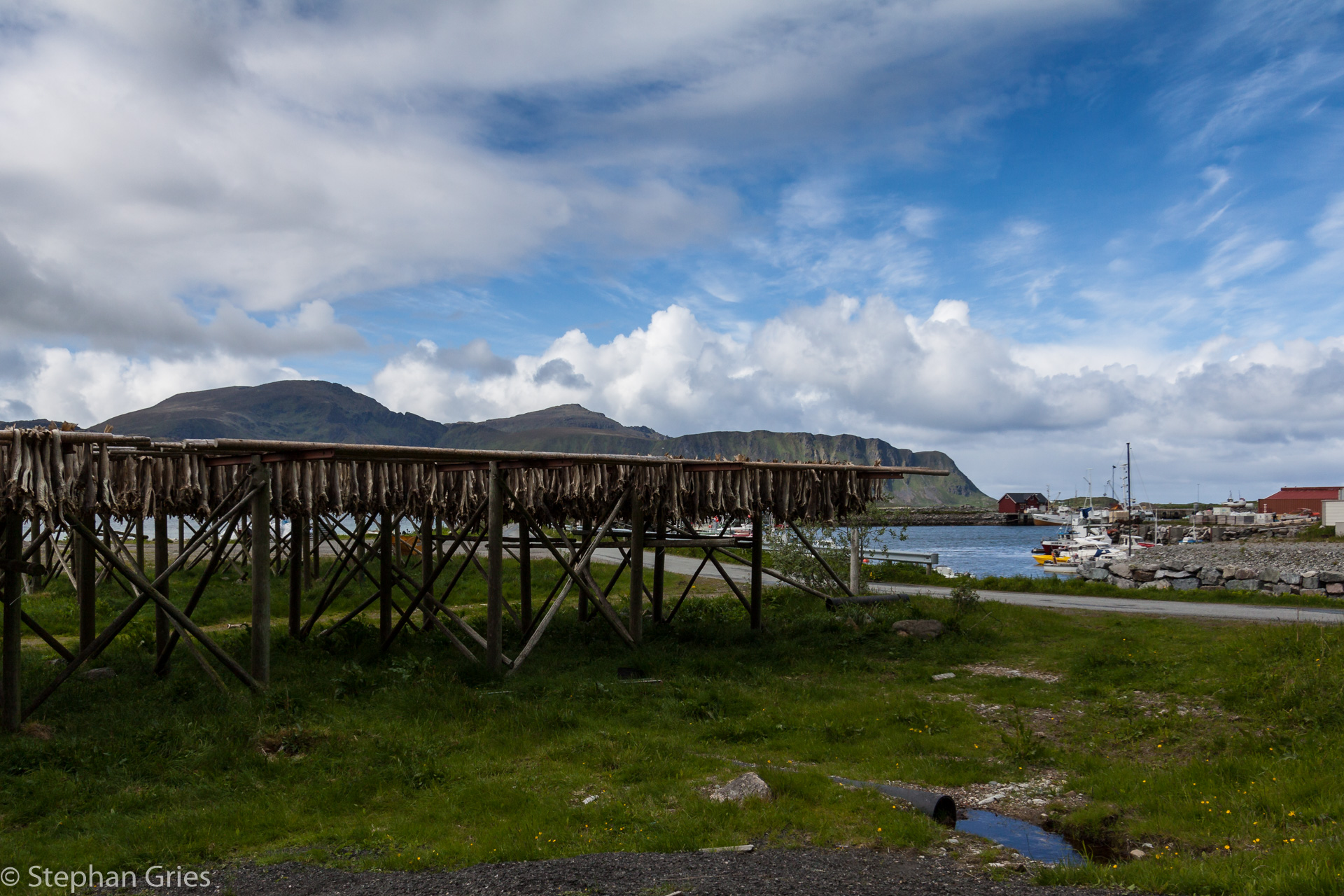 Überall auf den Lofoten präsent, der Stockfisch.