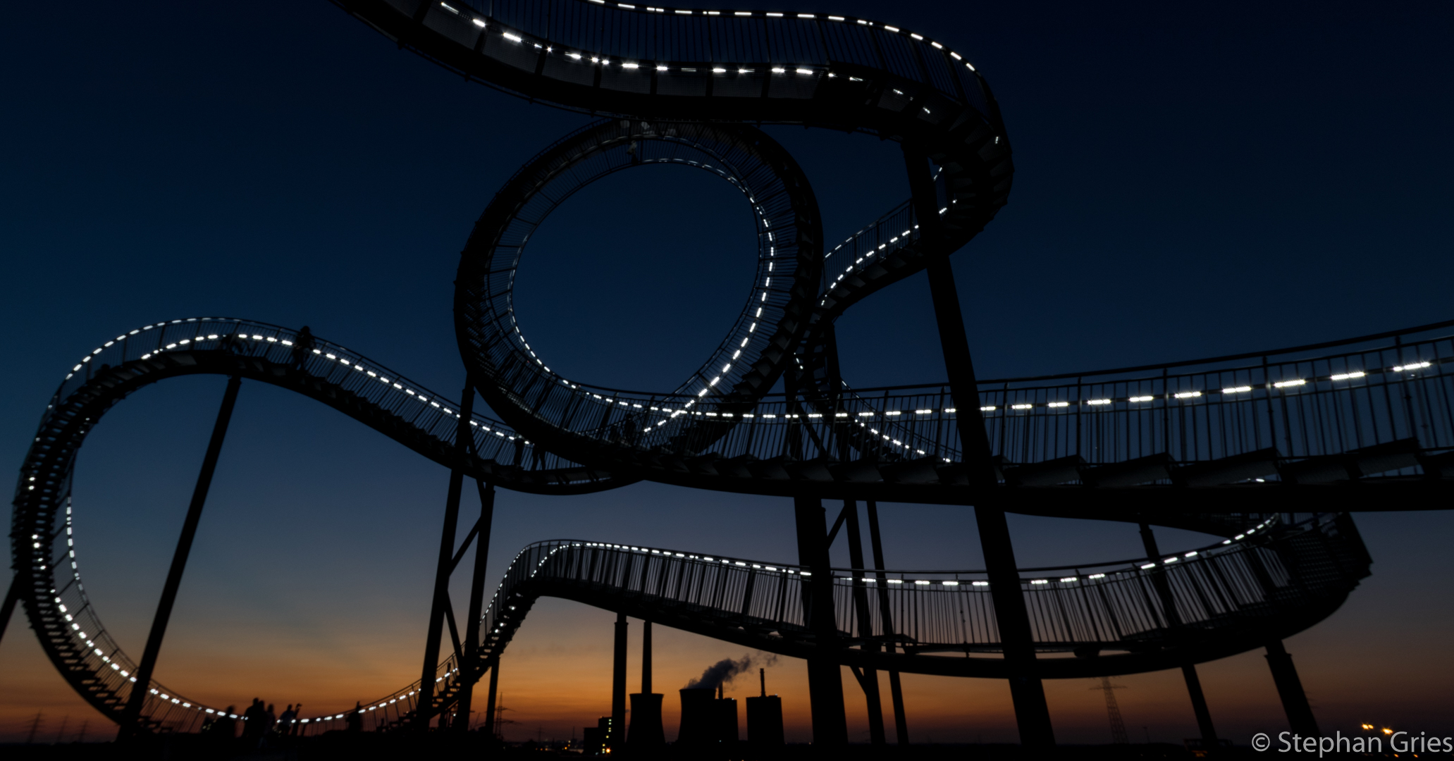Tiger and Turtle