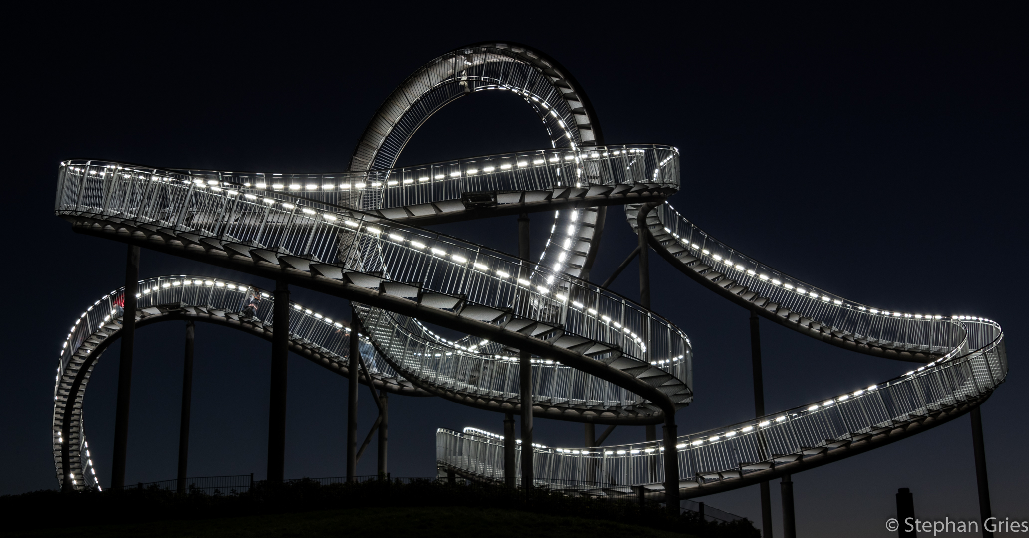 Tiger and Turtle