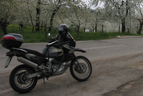 Gardasee 2003