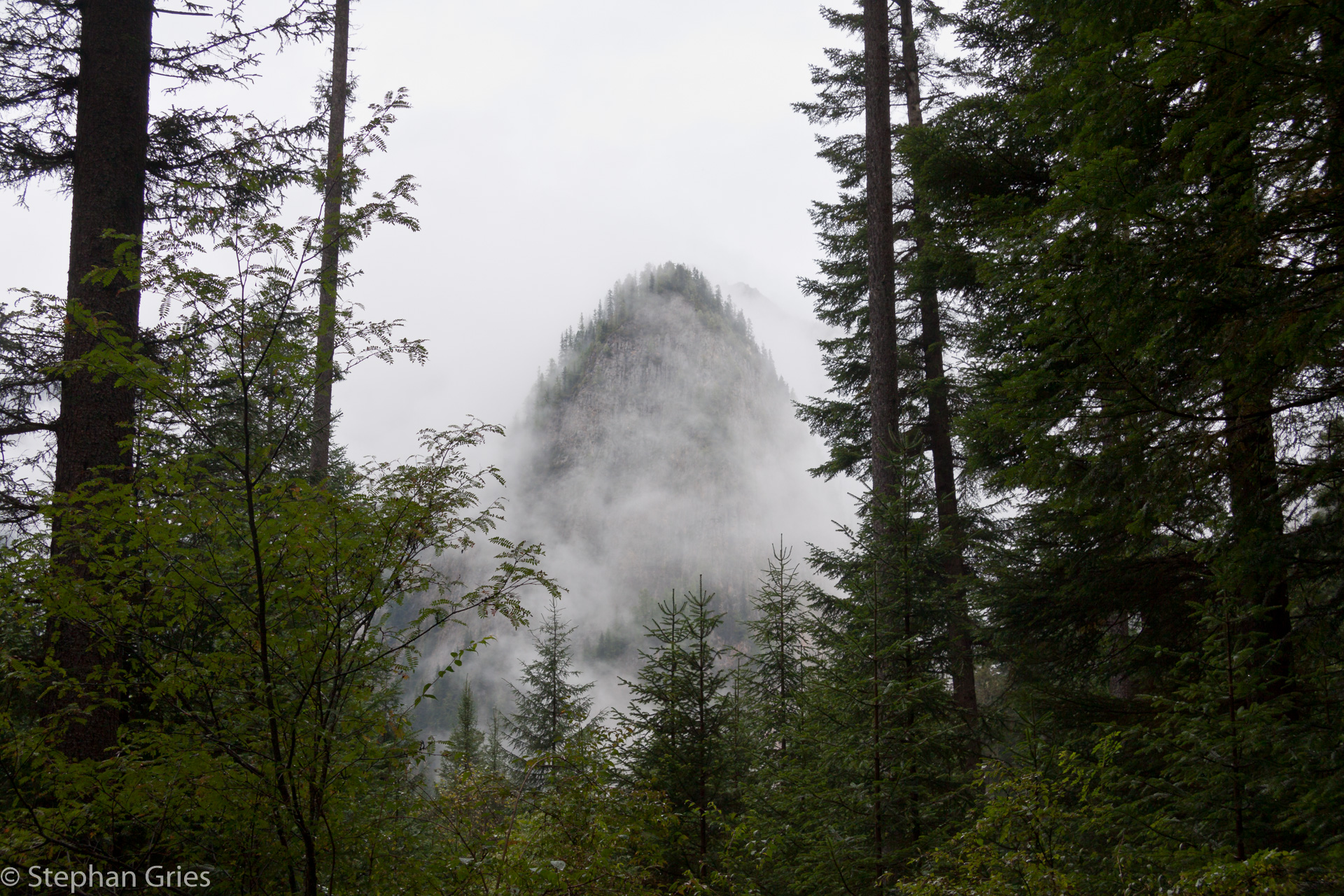 Wir nahmen den rechten Teil und fuhren ganz nach oben in den 'Urwald'.