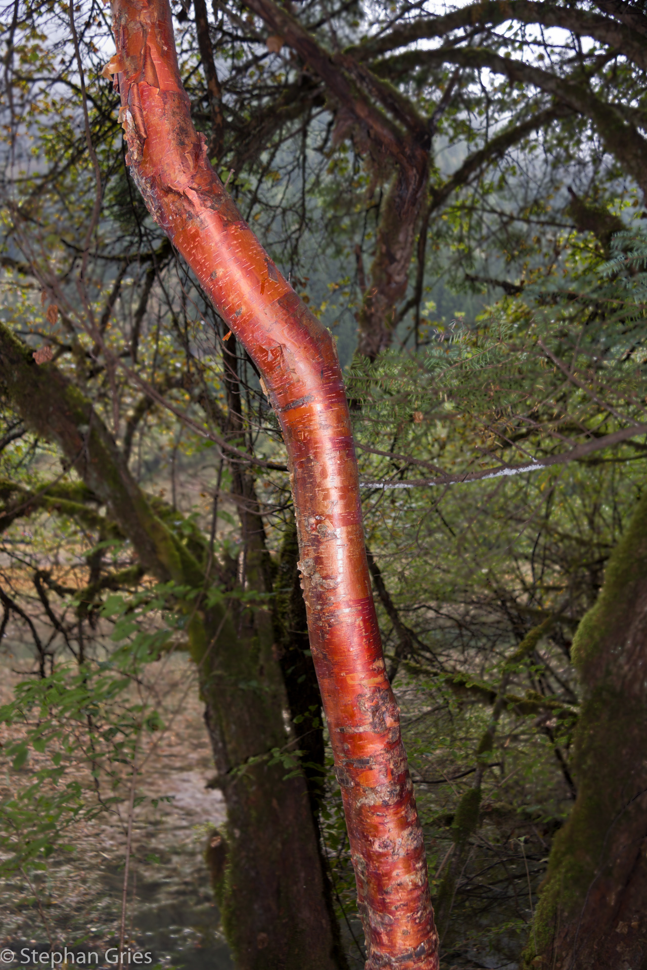 Es darf nirgends geraucht werden und Abfall sieht man auch nicht.