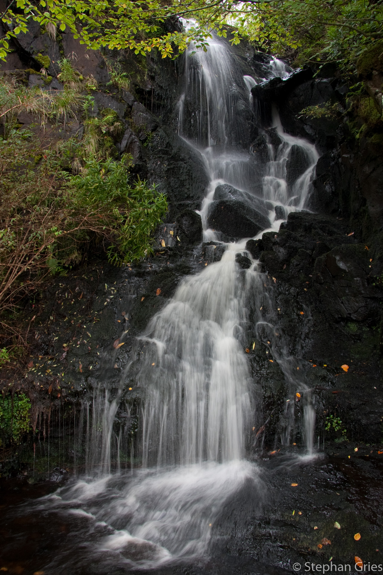 Im Park von Dunvegan Castle, Isle of Skye.