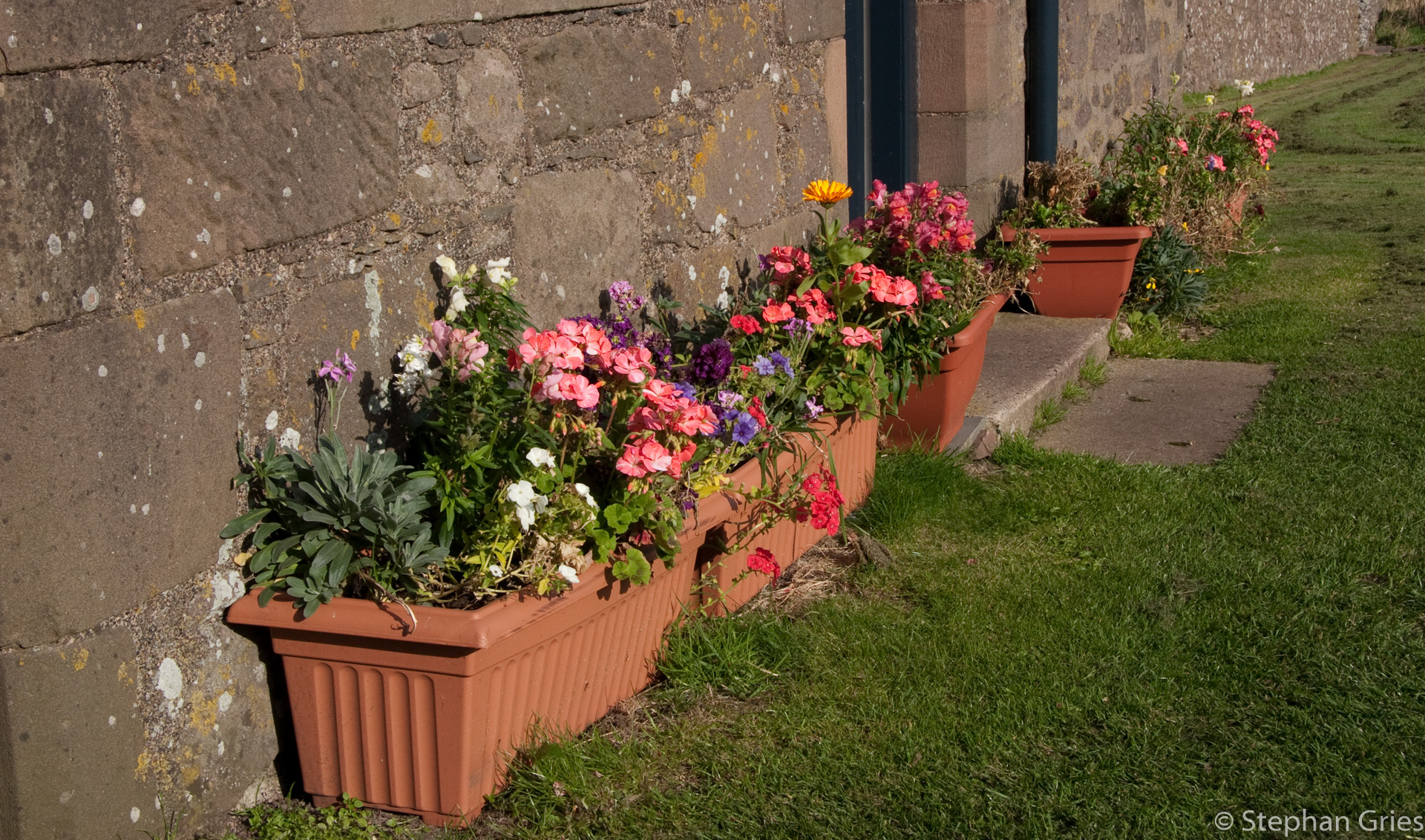 Dunnottar Castle an der Ostküste.