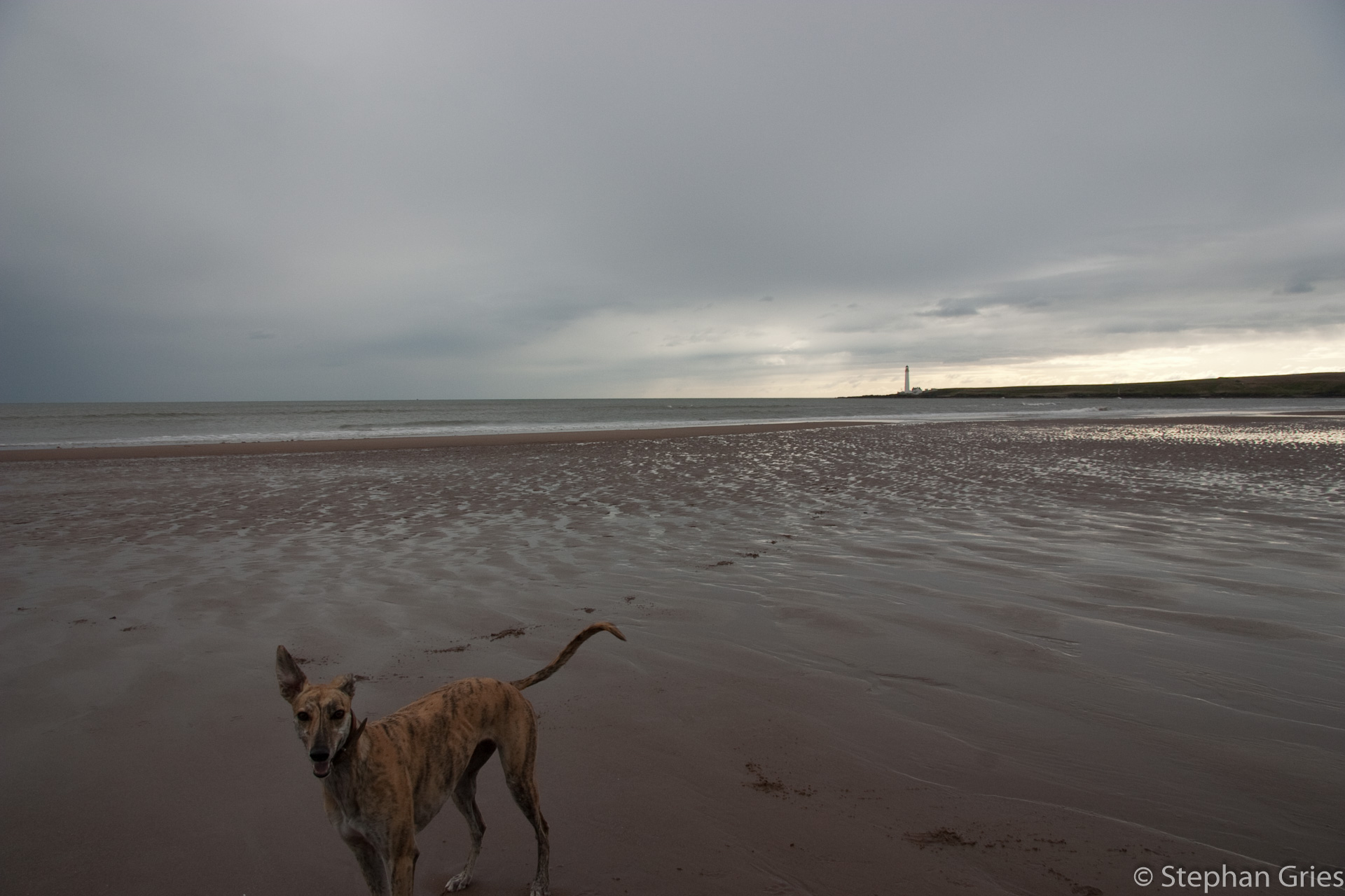 Seafront Splash in Montrose.